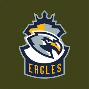 Mẫu logo đội game thủ esport đẹp hình con chim diều hâu 662
