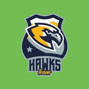 Mẫu logo đội game thủ esport đẹp hình chim đại bàng 763