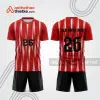 Mẫu thiết kế quần áo thể thao thi đấu bóng ném đẹp bn352